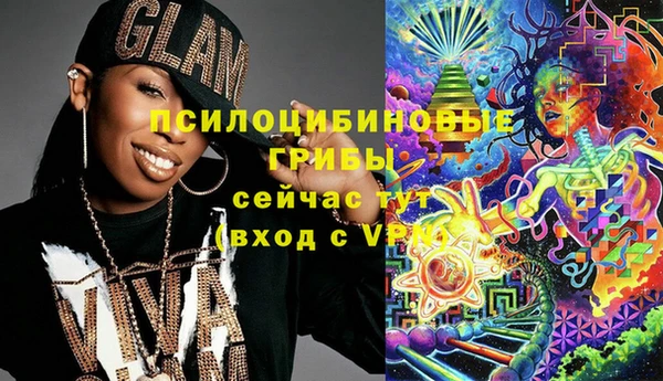 прущий лед Липки